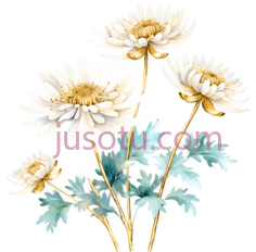 菊花,金箔PNG
