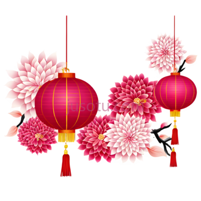 灯笼,菊花,中国风,红色,粉色, PNG