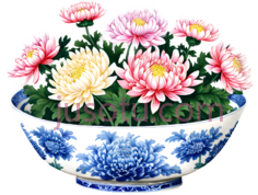 菊花,瓷碗PNG
