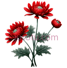 菊花,插画,红色,绿色PNG