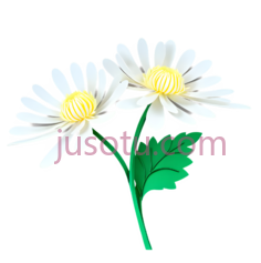 白菊花,纸艺PNG