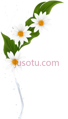 花朵,水花, PNG