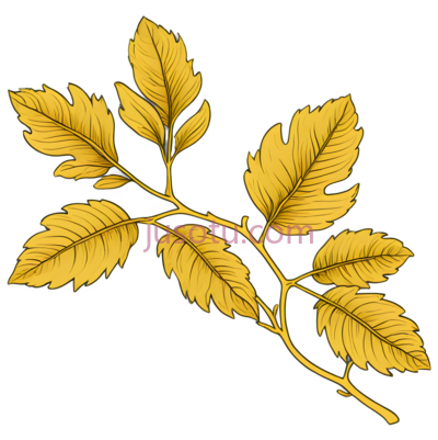 叶子,金色,黄色, PNG
