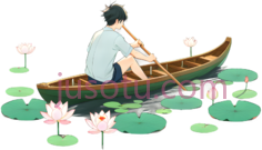 男孩,划船,湖泊,荷花PNG