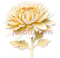 菊花,拼贴PNG