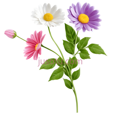 白色花朵,紫色花朵,粉色花朵,卡通,白色,紫色,粉色, PNG