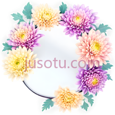 菊花,圆形花环,紫色,黄色PNG