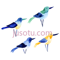 鸟, PNG