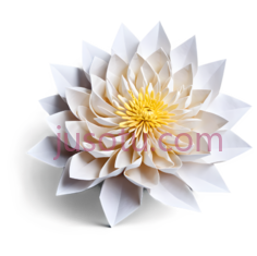 菊花,折纸,折痕PNG