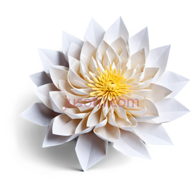 菊花,折纸,折痕, PNG