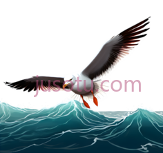 海鸥,插画,白色,灰色,黑色PNG