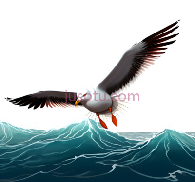 海鸥,插画,白色,灰色,黑色, PNG