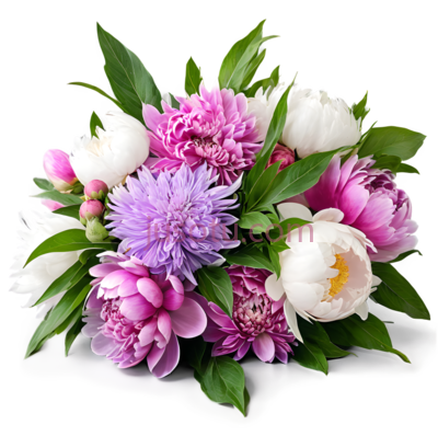 母亲节花束,花园,牡丹,大丽花,紫菀, PNG