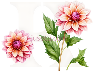 花,字母,字体,白色, PNG