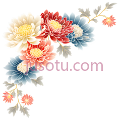 菊花,插画,红色,蓝色,黄色PNG