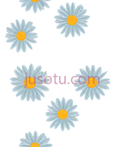 浅蓝色,雏菊PNG