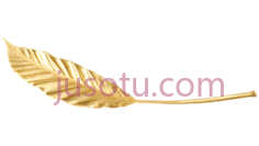 叶子,金色, PNG