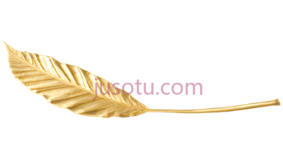 叶子,金色, PNG