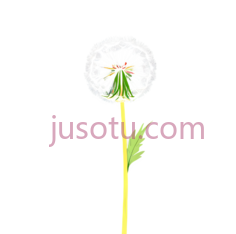 卡通,风筝草PNG