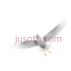 海鸥,卡通,白色PNG