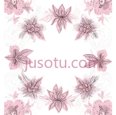 花朵,花卉图案,粉色,白色PNG