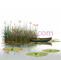 水面,荷叶PNG