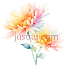 菊花,水彩画,黄色,橙色,粉色PNG