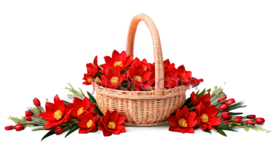 花篮,手绘,红色, PNG
