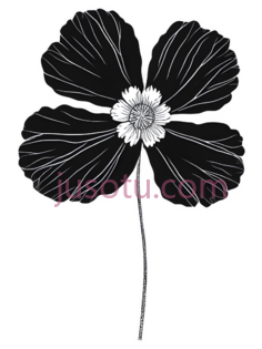 花朵,线条画,白色PNG