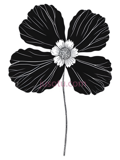 花朵,线条画,白色, PNG