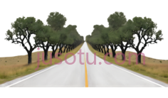 道路,3D,灰色PNG