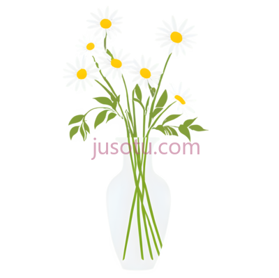 花瓶,雏菊, PNG