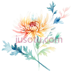 菊花花瓣PNG