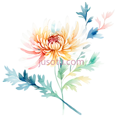 菊花花瓣, PNG