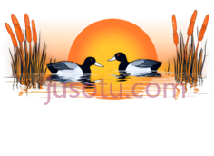 鸭子,卡通,黑色,白色PNG