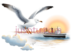 海鸥,卡通,白色PNG