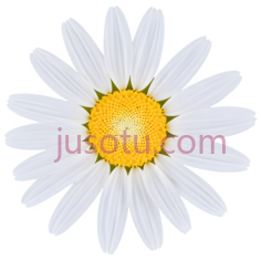 雏菊, PNG