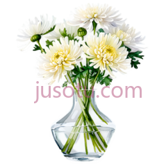玻璃花瓶,菊花PNG