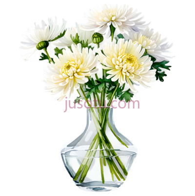 玻璃花瓶,菊花, PNG