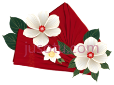 花朵,叶子,插画,白色,绿色,红色PNG