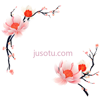 荷花,插画,粉色, PNG