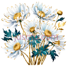 菊花,金箔PNG