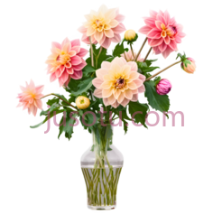 花瓶里的花朵,优雅,粉色,黄色PNG