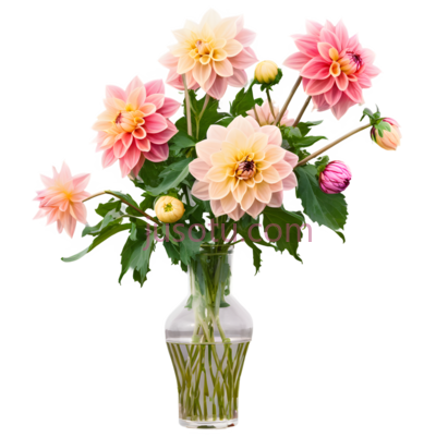 花瓶里的花朵,优雅,粉色,黄色, PNG