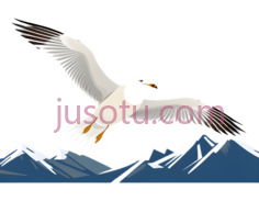 海鸥,卡通,白色PNG