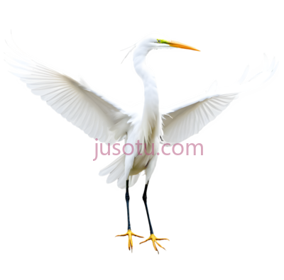 白鹭, PNG
