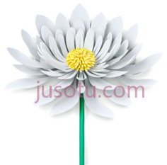 白菊花, PNG