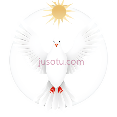 鸽子,卡通,白色, PNG