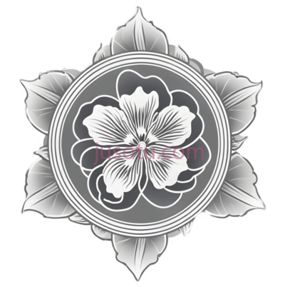 花朵,复杂对称的花纹设计,白色, PNG