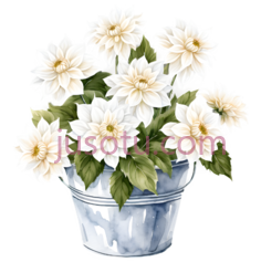 白花,木质桶, PNG